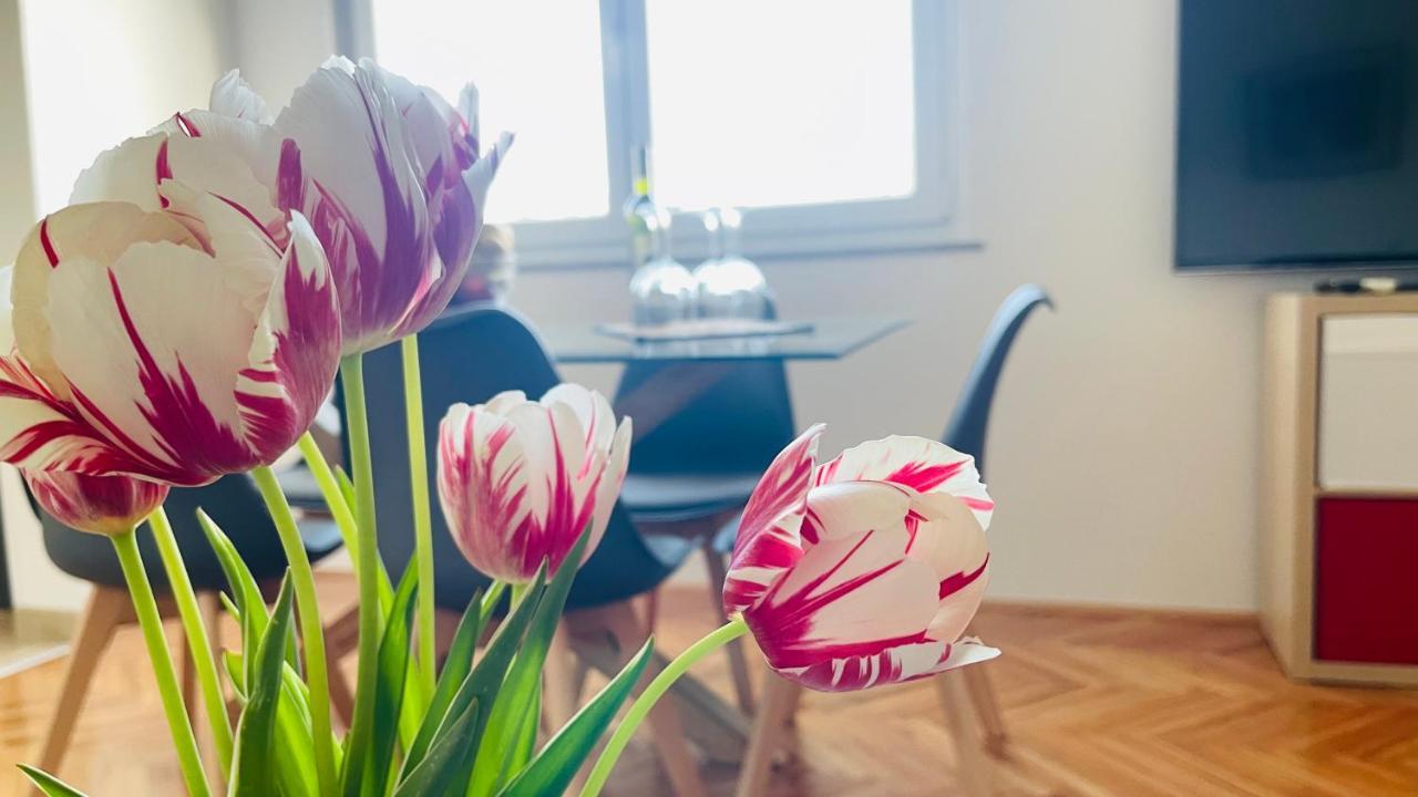 Apartment Iva Риека Экстерьер фото